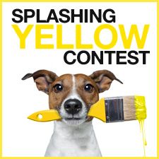 Spalshing-yellow-contest-V2-en.jpg