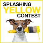 Spalshing-yellow-contest-V2-en.jpg