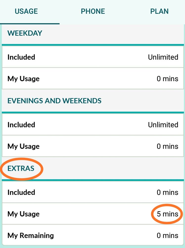 Whats is meaning of extra 5 min usage??