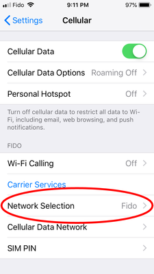 iOS 12.1.1 Network Selection.png