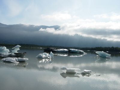 mendenhall lake.jpg