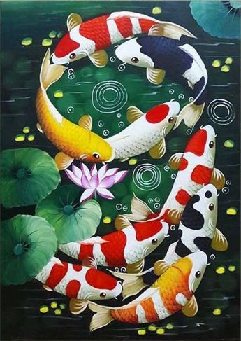 Koi fish.JPG